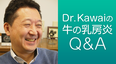 Dr. Kawaiの牛の乳房炎Q&A